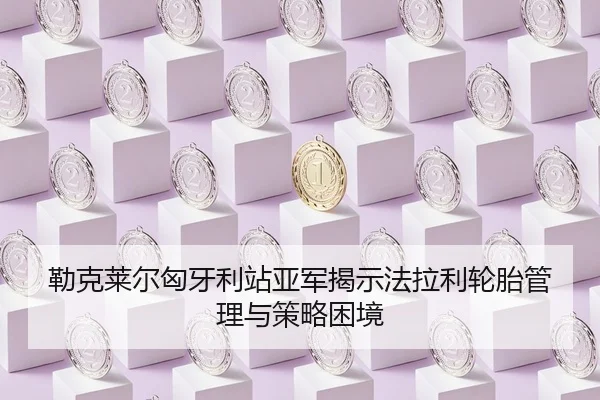 lei-ke-lai-er-xiong-ya-li-zhan-ya-jun-jie-shi-fa-la-li-lun-tai-guan-li-yu-ce-lve-kun-jing-3-491.jpg
